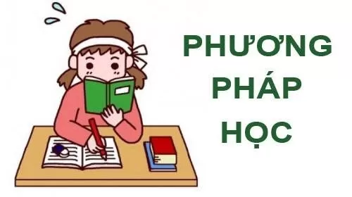 3 Bước Đột Phá Tiếng Anh Cho Người Mới Bắt Đầu Với Việt Thái A.English
