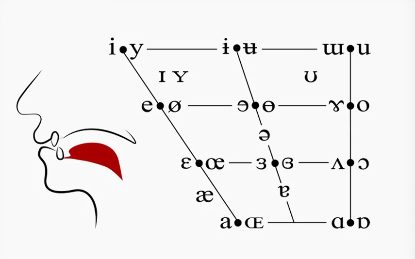 Giới thiệu hệ thống International Phonetic Symbols (IPS) và cách ứng dụng trong phát âm tiếng Anh Mỹ